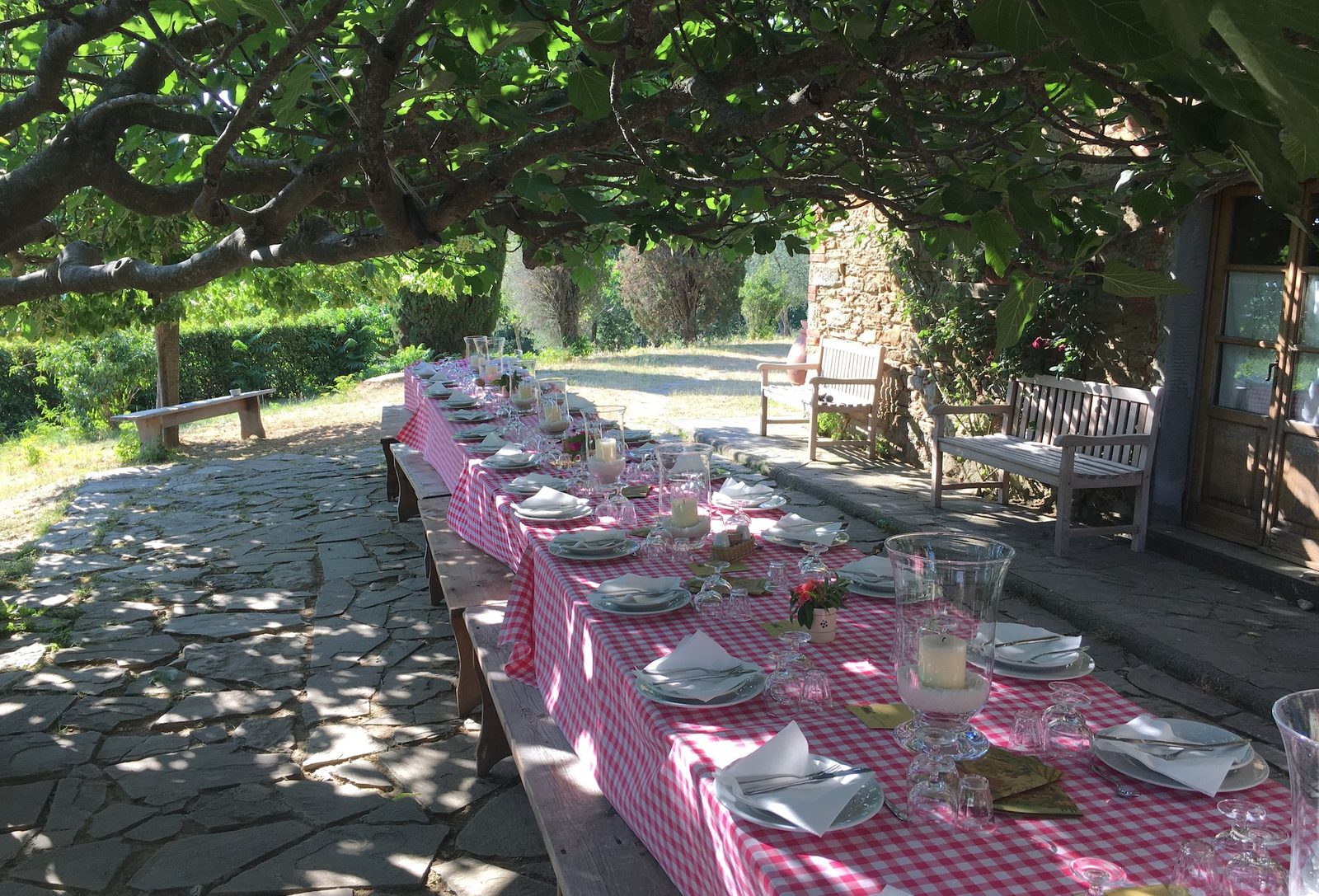 A laid table under the fig tree